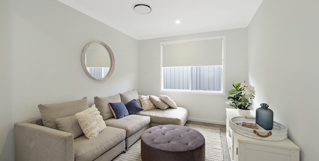 alphaline_display_home_newsletter5