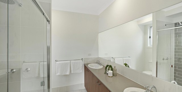 alphaline_display_home_newsletter6